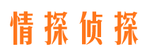 和林格尔侦探公司